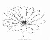 Pretty Daisy Coloring Page For Kids  Free Daisies Printable sketch template
