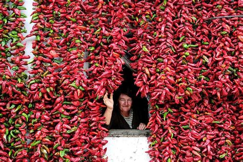 Paprika: Hungary's Red Gold | Fiery Foods & Barbecue Central