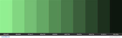 Shades of Light Green #90EE90 hex color | Light green color code, Hex ...