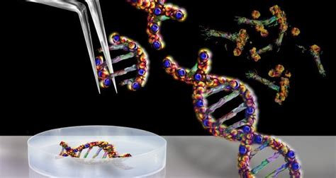 11 things to know about genetic engineering, including how it's helping us fight disease ...