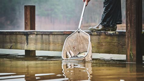 Understanding the Pond Stocking Process | Great Days Outdoors