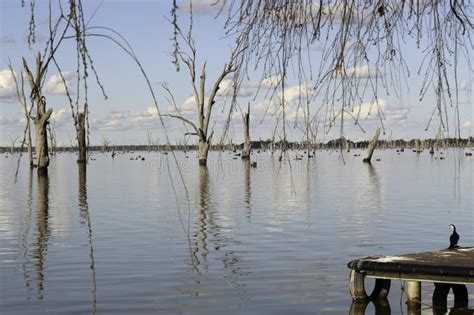 Yarrawonga stock image. Image of sunset, lake, mulwala - 58977165