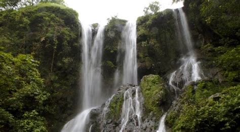 Hathni Mata Waterfall Hour And A Half, Wildlife Sanctuary, Vadodara, Closer To Nature, Travel ...