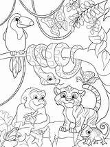 Jungle Animals coloring Pages  Printable Animal sketch template