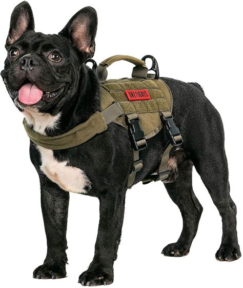 5 Best Harness for French Bulldog Puppy (2022) - Best Protection Dogs