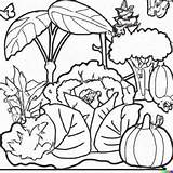 25  Desenhos de Horta Para Imprimir E Colorir/Pintar sketch template