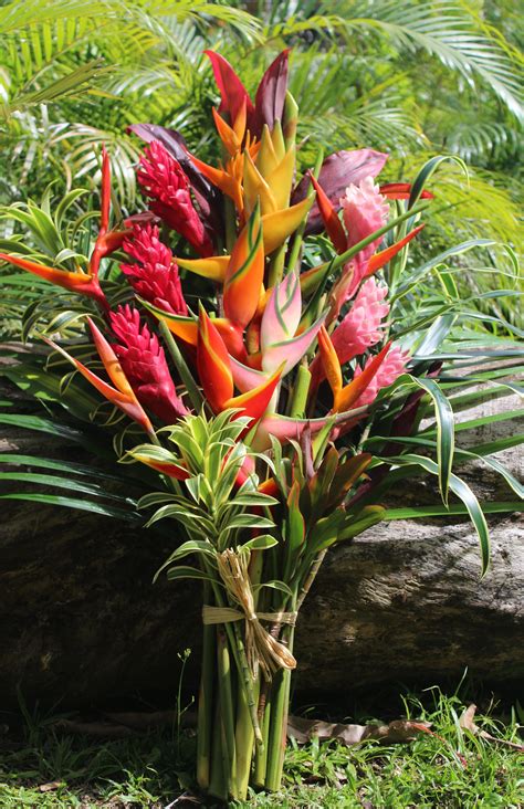 Paradise Bouquet – Tropical Flowers & Bouquets of Hawaii