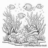 Aquarium Coloring Pages  Free & Printable sketch template
