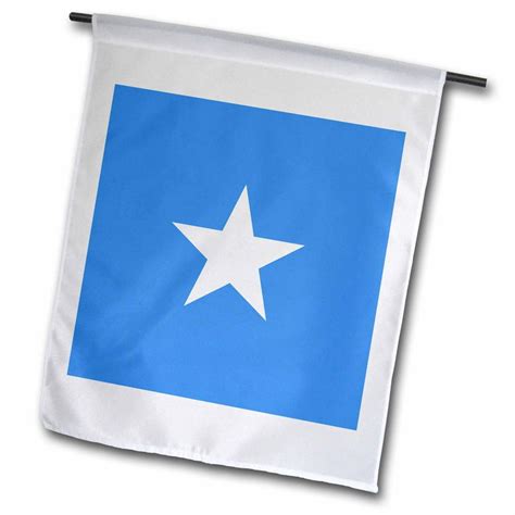 3dRose Flag of Somalia - Somali light sky blue with white star ...