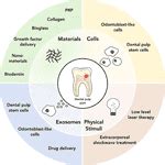 Frontiers | Potential Novel Strategies for the Treatment of Dental Pulp-Derived Pain ...