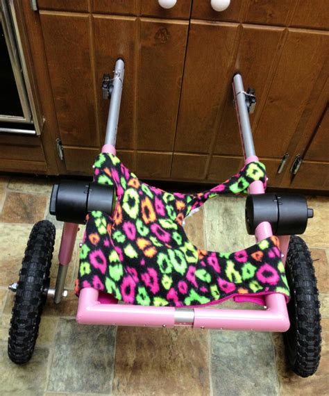 10 DIY Cat Wheelchair Ideas For Disabled Cats