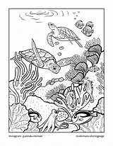 Free Printable Coral Reef Coloring Pages sketch template