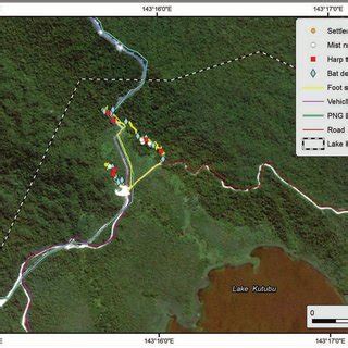 Deployment of bat trapping equipment (harp traps and mist nets) and bat ...