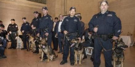 Nineteen Dogs Graduate from MTA Police Training | LongIsland.com