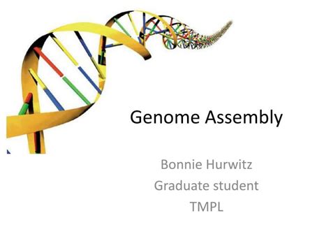 PPT - Genome Assembly PowerPoint Presentation, free download - ID:2424563