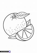 Orange coloring pages  Free printable sketch template