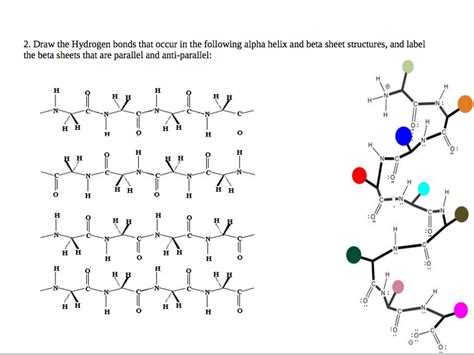 Solved 2. Draw the Hydrogen bonds that occur in the | Chegg.com