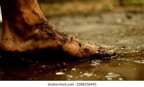 21.306 Mud S Images, Stock Photos, 3D objects, & Vectors | Shutterstock