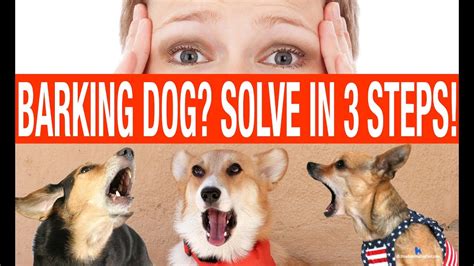 Stop Barking Dog: 3 Proven Dog Barking Training Tips - YouTube