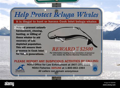 Help Protect Beluga Whales Sign on a pole near the waterline in turnagainarm, turnagain arm ...