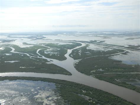 Can Land Be Built in the Mississippi River Delta with River Sediments?