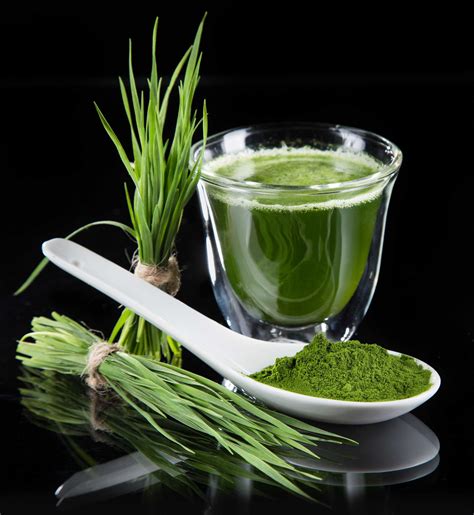 Spirulina Certainly Earns its Superfood Status