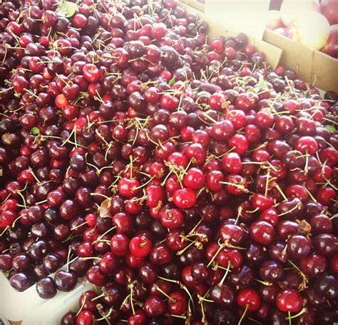 Fresh Cherries: Why They Rule - Healthy Crush