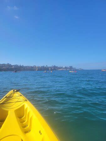 La Jolla Sea Cave Kayaks (CA) - Review - Tripadvisor