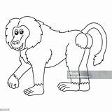 Baboon Coloring Page Isolated For Kids Stock Illustration  Download sketch template