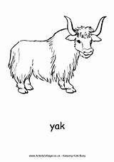 Yak Coloring Pages Letter Clipart Alphabet Practice  sketch template