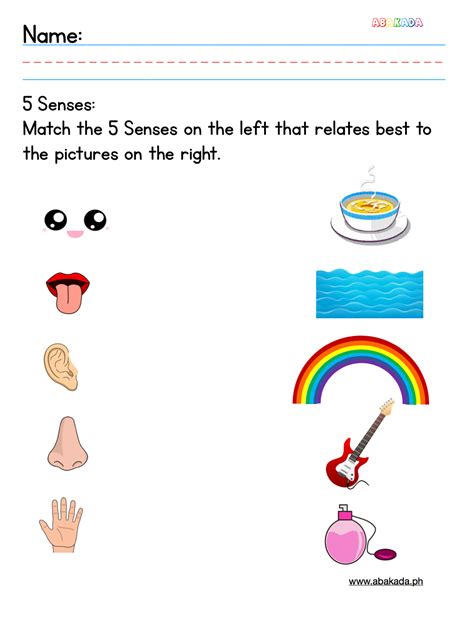 The Five Senses Worksheets