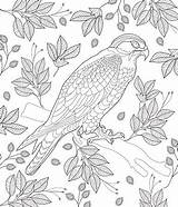 Coloring Page Stock Clipart  Royalty Free FreeImages sketch template