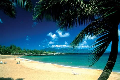 Maui Hawaii Vacation Packages Honeymoon Spots, Hawaii Honeymoon, Maui Vacation, Hawaii Travel ...