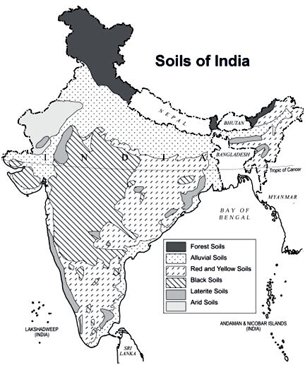 Types of Soils in India - GKToday