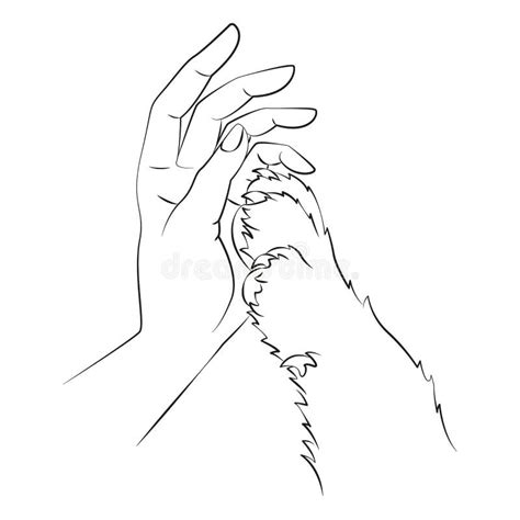 Outline Vector Drawing of Hand and Dog Paw. Stock Vector - Illustration ...