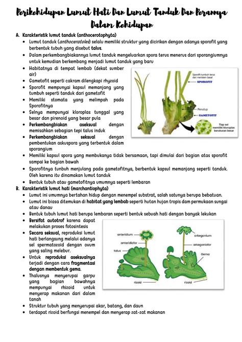 SOLUTION: 10 perikehidupan lumut hati dan lumut tanduk dan perannya dalam kehidupan - Studypool