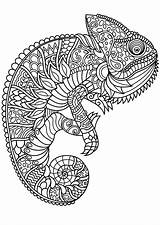 Complex Animal Coloring Pages At GetColoringscom  Free Printable sketch template