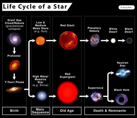 Life Cycle of a Star: Stages, Facts, and Diagrams