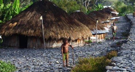 Honai Papua Traditional House: Uniqueness, Origins, and the ...