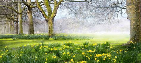 Beautiful Natural Scenery Poster Background | Background images, Wall ...