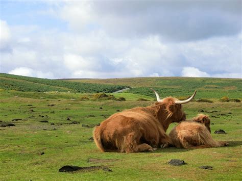 Top Interesting Facts About Dartmoor National Park