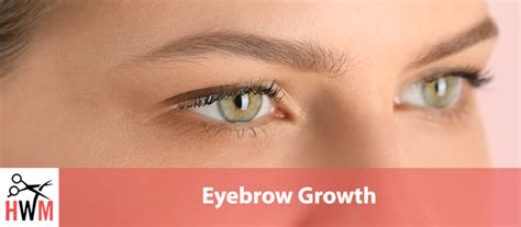 Eyebrow Growth: Everything You Need to Know for Faster Growth - Hair World Magazine