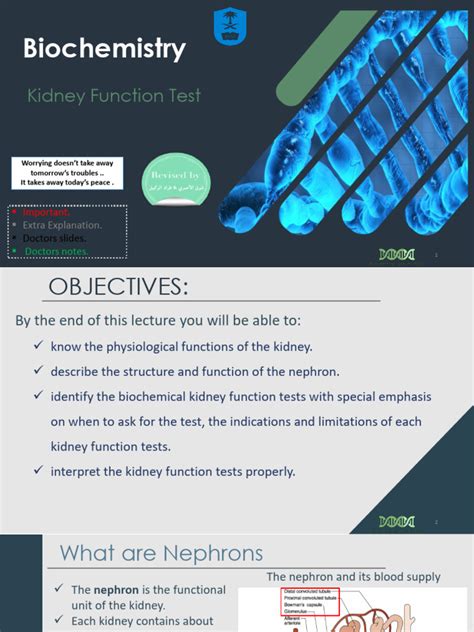 1-Kidney Function Test | PDF