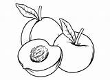 Peach Fruit Coloring Page  Free Printable Pages sketch template