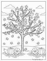 68 Autumn & Fall Coloring Pages Free PDF Printables sketch template