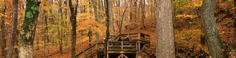 Mammoth Cave National Park - Wikitravel