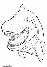 Basking Shark coloring Pages  Free Printable sketch template