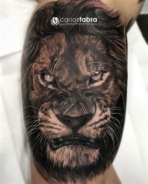 Angry Lion With Scars