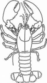 Printable Lobster Coloring Page sketch template