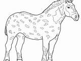 Clydesdale Horse Head Coloring Pages sketch template